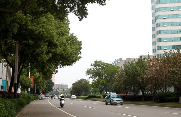 �����ֵ�����ʵ����Ƶ�ز� mov