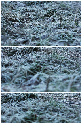 ����˪��