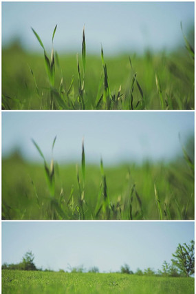 �����̲�