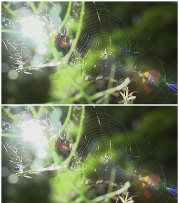 ֩������Ƶ