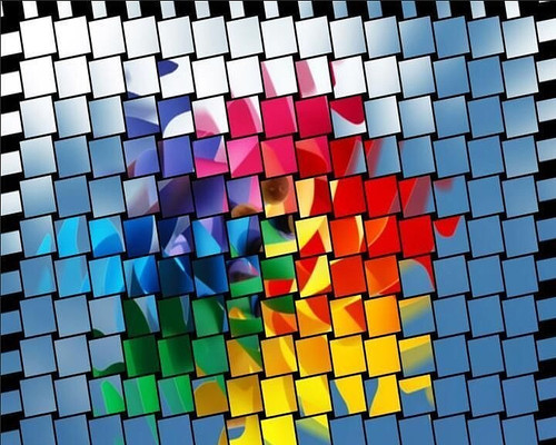 ʵ������