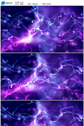 ��̬�λñ�����Ƶ�ز� mov