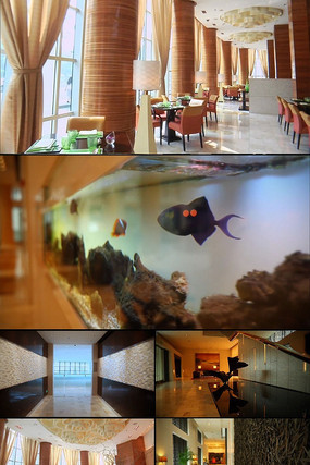 �����Ƶ�����