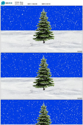 ʥ������Ƶ�ز� mov