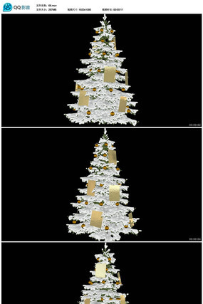 ʥ������Ƶ�ز�(��͸��ͨ��) mov