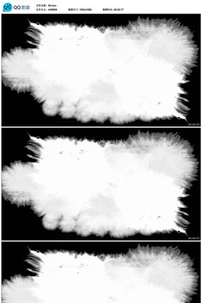 ����ˮī���䶯̬������Ƶ�� mov