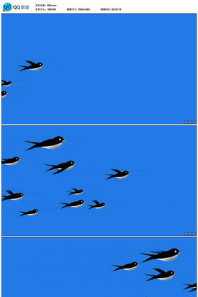 ������Ƶ�ز�