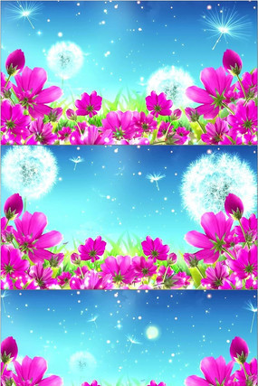 ʢ���Ļ���