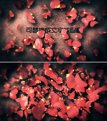 ����߻�LOGO