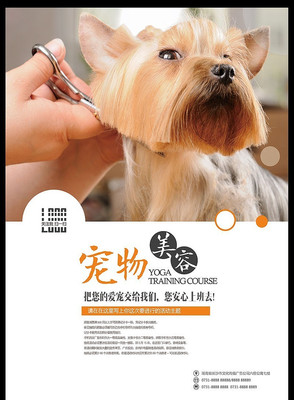 ��������ҽԺ��ҵ�����������