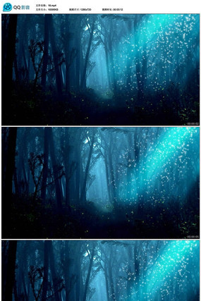 �λ�ɭ����Ƶ�ز�