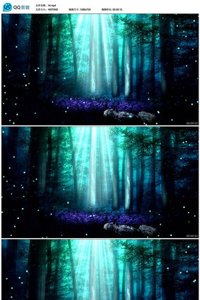 ħ��������̨������Ƶ mp4