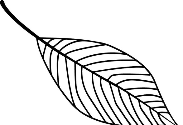 ��Ҷ��ʸ�� AI