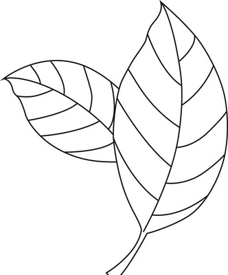 ��Ҷ���ֻ�ʸ�� AI