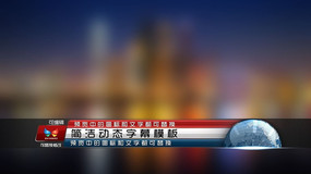 �����Ű涯��ģ�� aep