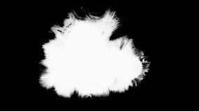 �й���ˮī��Ƶ�ز� mp4