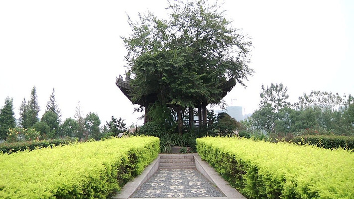 �����ľ����羰��Ƶʵ��