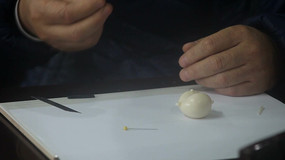 �ֹ���������д�й�����ʵ����Ƶ�ز�