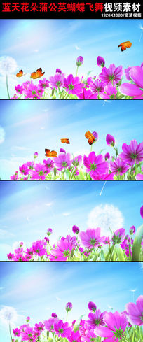 컨ʢѹӢƵز