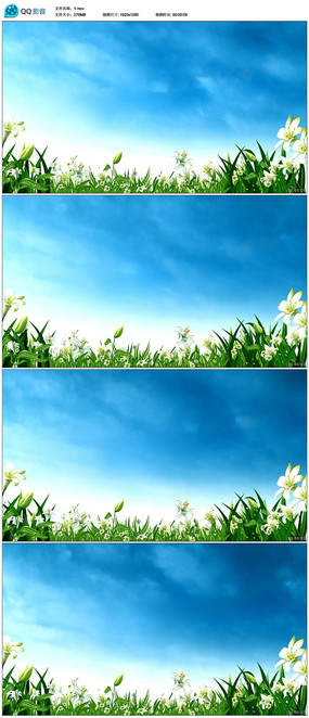 �������ֲ��