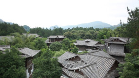 ��̬��ɫ������Ƶ�ز�