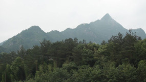 ��Ȼ�����Ƶ�ز�