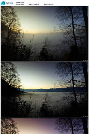 ɭ���ƺ���Ƶ