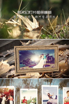 ������ܰ��������Ƭͷģ�� aep