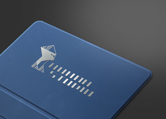 ᰸ͼ־չʾlogoЧͼ PSD