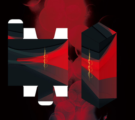 �����ߵ��̾ư�װ�� AI