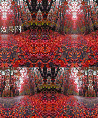 ��Ȼ����Ҷ����