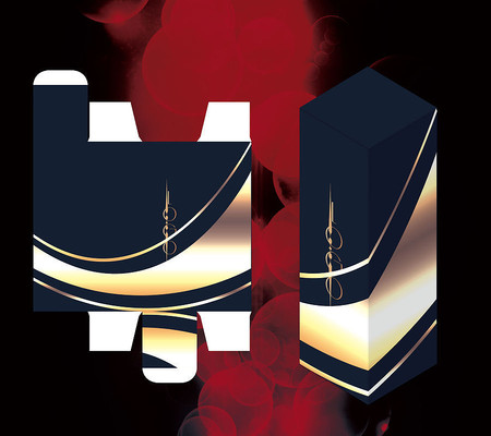 ����������Ÿߵ���װ��ģ�� AI