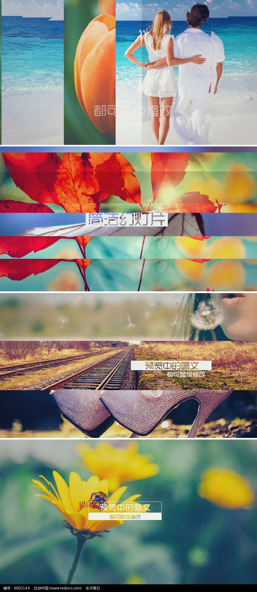 原创设计稿 视频素材/片头片尾/ae模板 片头片尾视频 简洁图文分屏