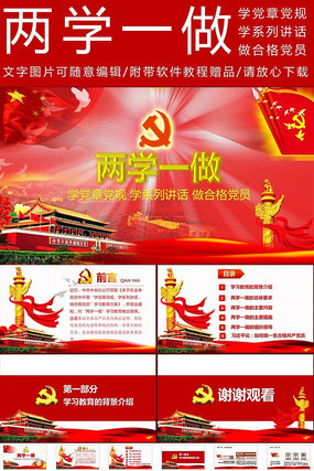 解读两学一做学党章党规学系列讲话做合格党员PPT模板