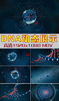 DNA˫ϸҽѧҽƶ̬Ƶ