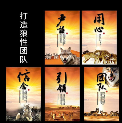 �����Ŷ���ѵ��ͼ PSD