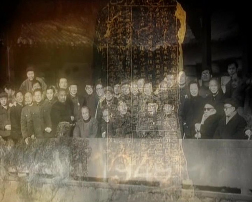 ������Ƶ�ز�