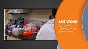 ��Լ��Ƶ����չʾƬͷģ�� aep