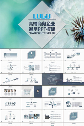 ˾ҵƷƹƼPPTģ pptx