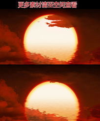 �����º���