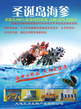 ����DM������