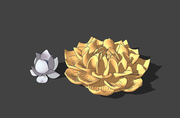 ��������СƷ skp