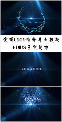 ediusЧLOGOƬͷģ