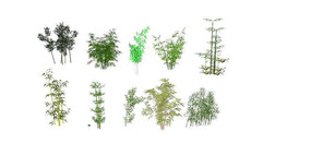 10�������SUģ��