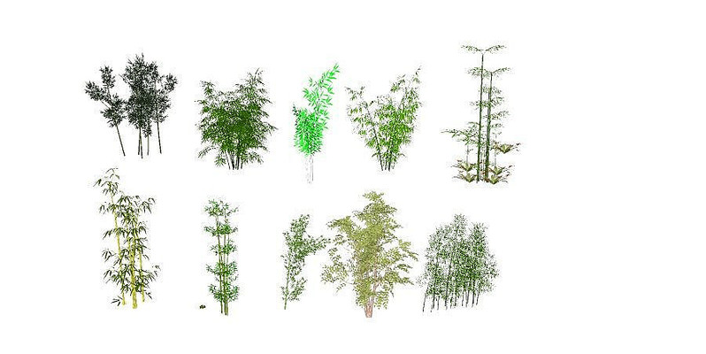 10�������SUģ�� skp