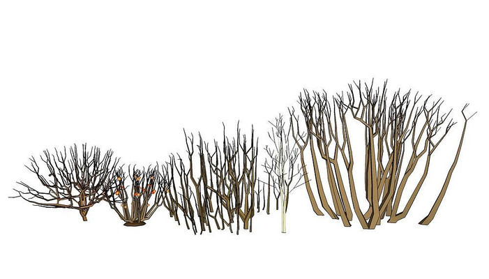 ������SUģ�� skp