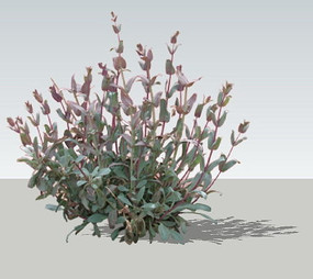 ����ľSUģ�� skp