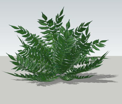 ާ��ֲ��SUģ�� skp