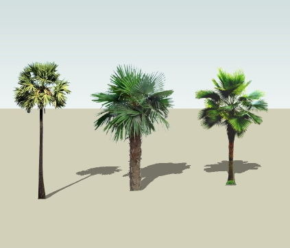 ���SUģ�� skp