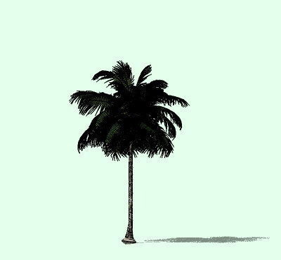 ����ģ��